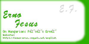 erno fesus business card